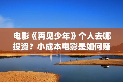 电影《再见少年》个人去哪投资？小成本电影是如何赚钱的？(《再见,少年》上映)