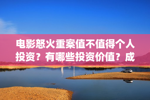 电影怒火重案值不值得个人投资？有哪些投资价值？成本多少？(电影 怒火重案)