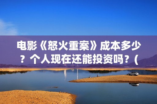 电影《怒火重案》成本多少？个人现在还能投资吗？(谢霆锋最新电影怒火重案)