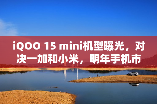 iQOO 15 mini机型曝光，对决一加和小米，明年手机市场的新篇章