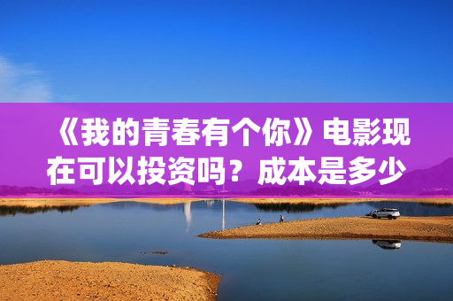 《我的青春有个你》电影现在可以投资吗？成本是多少的呢？份额是真实的am？(我的青春有个你百度百科)