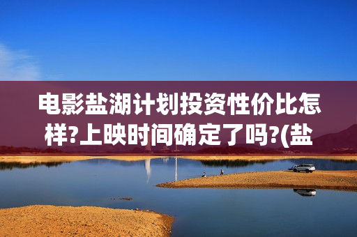 电影盐湖计划投资性价比怎样?上映时间确定了吗?(盐湖计划上映)