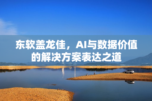 东软盖龙佳，AI与数据价值的解决方案表达之道