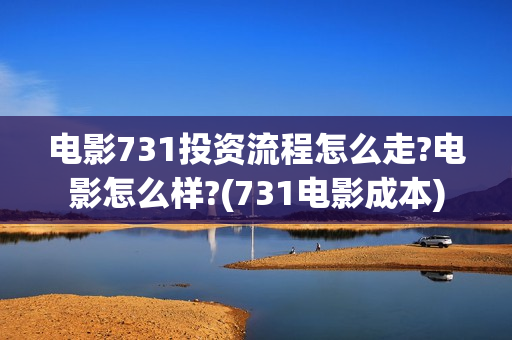 电影731投资流程怎么走?电影怎么样?(731电影成本)