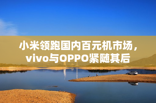 小米领跑国内百元机市场，vivo与OPPO紧随其后