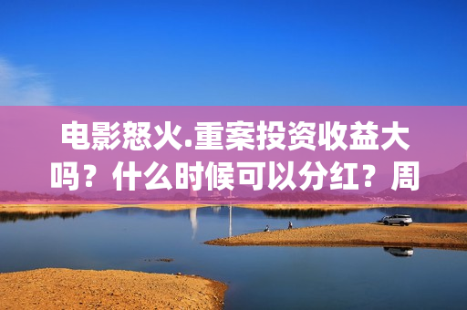 电影怒火.重案投资收益大吗？什么时候可以分红？周期？(电影怒火重案2国语)