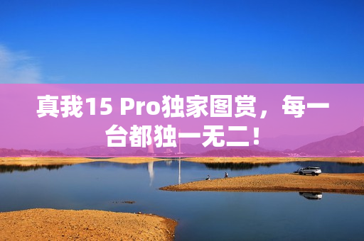 真我15 Pro独家图赏，每一台都独一无二！