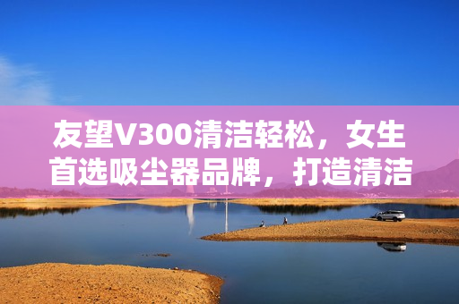 友望V300清洁轻松，女生首选吸尘器品牌，打造清洁新体验