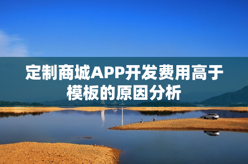 定制商城APP开发费用高于模板的原因分析