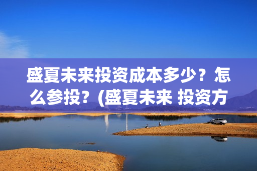 盛夏未来投资成本多少？怎么参投？(盛夏未来 投资方)
