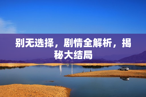 别无选择，剧情全解析，揭秘大结局