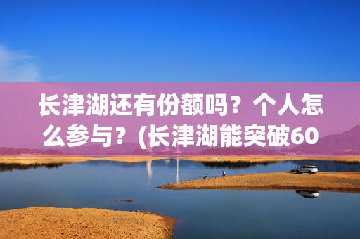长津湖还有份额吗？个人怎么参与？(长津湖能突破60亿吗)
