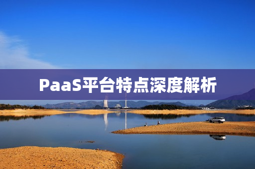 PaaS平台特点深度解析 PaaS平台特点深度解析