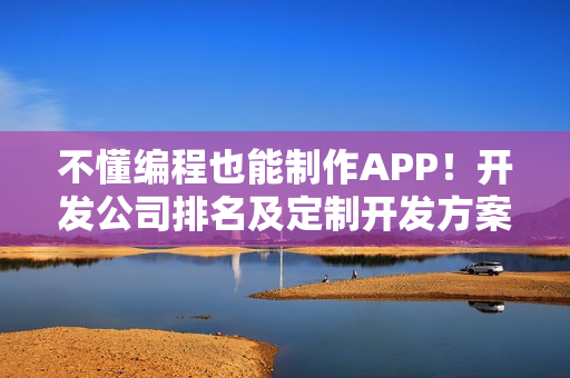 不懂编程也能制作APP！开发公司排名及定制开发方案全解析