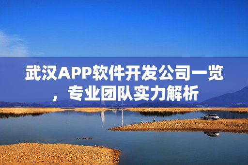 武汉APP软件开发公司一览，专业团队实力解析