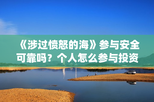 《涉过愤怒的海》参与安全可靠吗？个人怎么参与投资？(涉过愤怒的海事件原型)