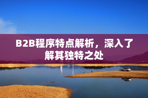 B2B程序特点解析，深入了解其独特之处