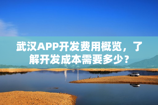 武汉APP开发费用概览，了解开发成本需要多少？