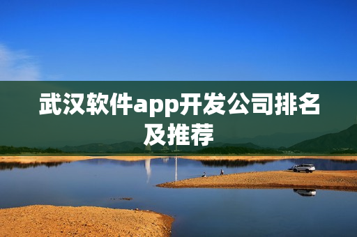 武汉软件app开发公司排名及推荐