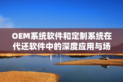 OEM系统软件和定制系统在代还软件中的深度应用与场景解析