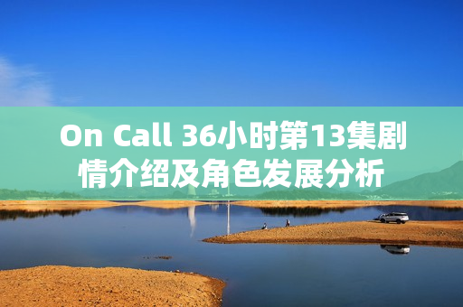 On Call 36小时第13集剧情介绍及角色发展分析