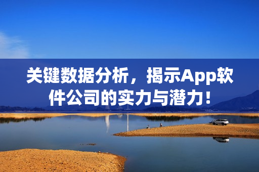 关键数据分析，揭示App软件公司的实力与潜力！