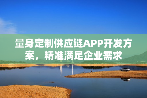 量身定制供应链APP开发方案，精准满足企业需求