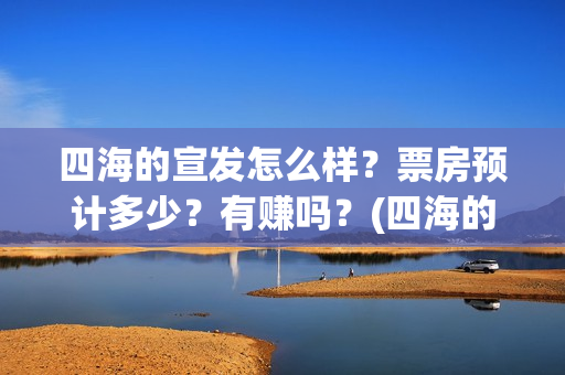 四海的宣发怎么样？票房预计多少？有赚吗？(四海的含义)