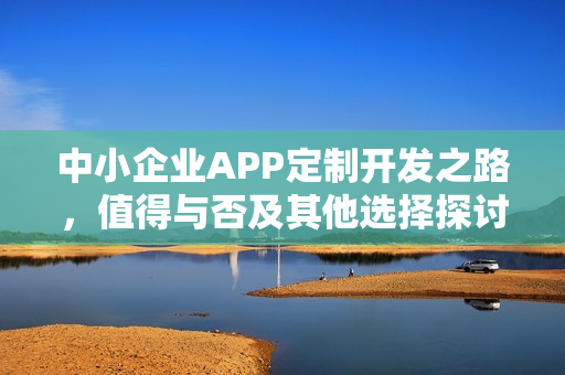 中小企业APP定制开发之路，值得与否及其他选择探讨
