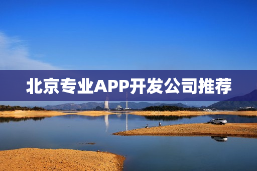 北京专业APP开发公司推荐