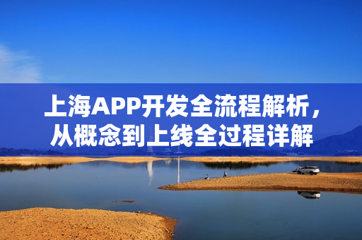 上海APP开发全流程解析，从概念到上线全过程详解