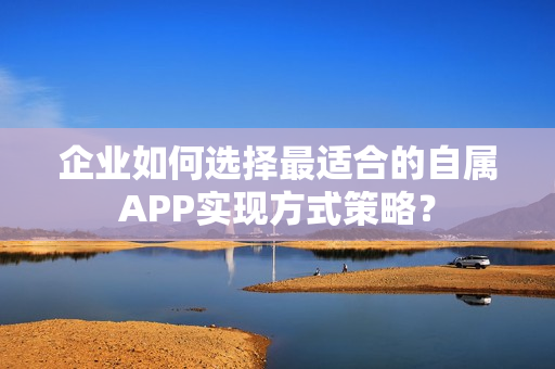 企业如何选择最适合的自属APP实现方式策略？