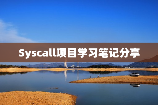 Syscall项目学习笔记分享