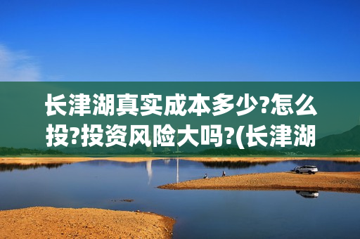 长津湖真实成本多少?怎么投?投资风险大吗?(长津湖盈利吗)