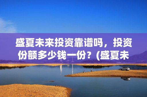 盛夏未来投资靠谱吗，投资份额多少钱一份？(盛夏未来能投吗)