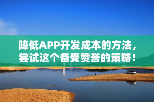 降低APP开发成本的方法,尝试这个备受赞誉的策略! 降低APP开发成本的方法,尝试这个备受赞誉的策略!