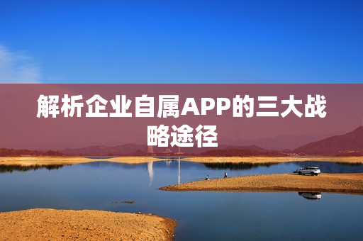 解析企业自属APP的三大战略途径