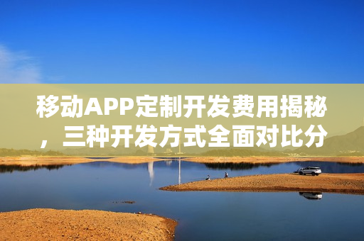 移动APP定制开发费用揭秘，三种开发方式全面对比分析
