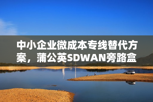 中小企业微成本专线替代方案，蒲公英SDWAN旁路盒子应用