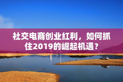 社交电商创业红利，如何抓住2019的崛起机遇？