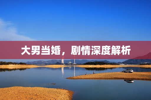 大男当婚，剧情深度解析