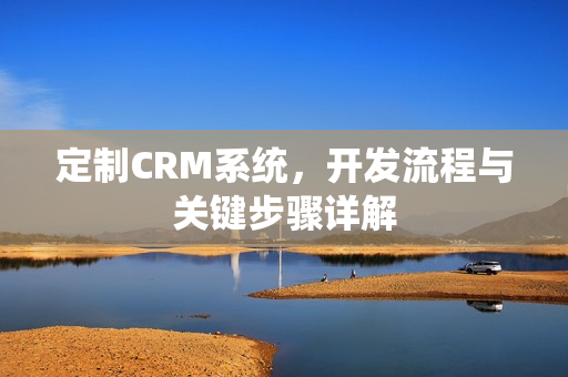 定制CRM系统，开发流程与关键步骤详解