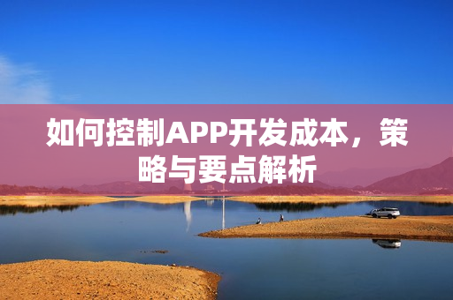 如何控制APP开发成本，策略与要点解析
