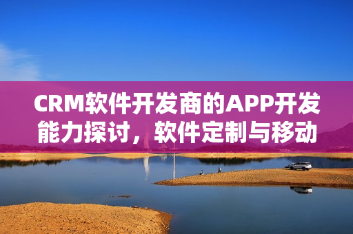 CRM软件开发商的APP开发能力探讨，软件定制与移动应用开发的结合