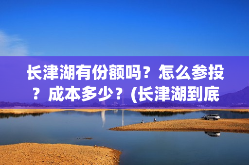 长津湖有份额吗？怎么参投？成本多少？(长津湖到底)