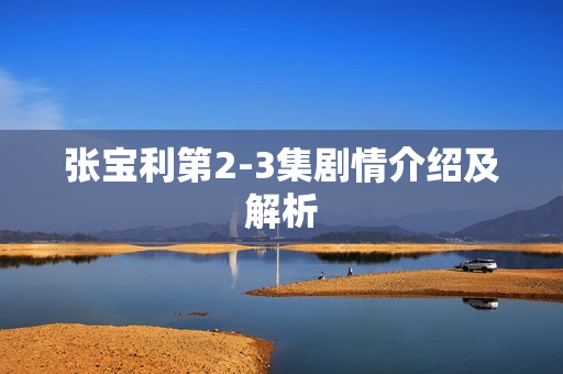 张宝利第2-3集剧情介绍及解析