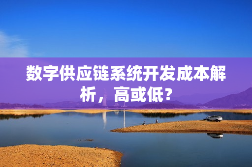 数字供应链系统开发成本解析，高或低？