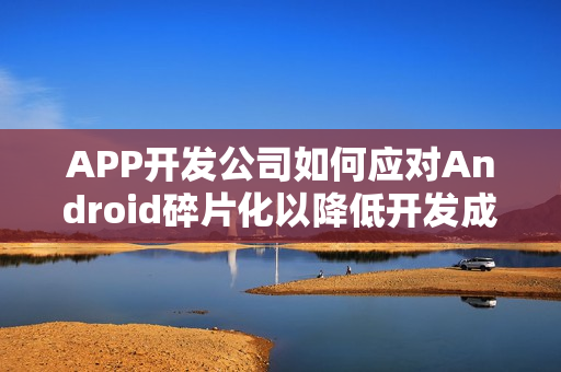 APP开发公司如何应对Android碎片化以降低开发成本？