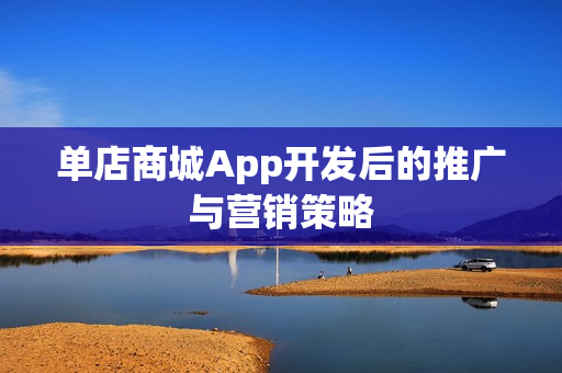 单店商城App开发后的推广与营销策略