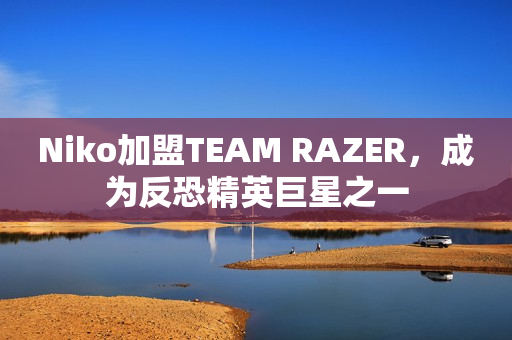 Niko加盟TEAM RAZER，成为反恐精英巨星之一
